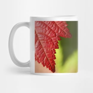 Red Leaf Lines Mug